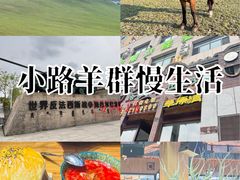 -诺敏塔拉奶茶-布里亚特包子-手把肉(锦都会店)