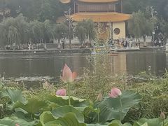 -庾园