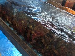 -岳州三毛·钻石卤虾(润泽园店)