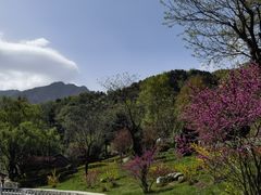-秦岭终南山世界地质公园翠华山景区