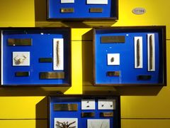 -上海昆虫博物馆