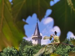 -北京张裕爱斐堡酒庄