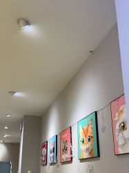 -洗脸猫·洗脸吧