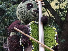 -杭州植物园