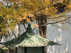 -秋霞圃