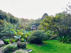 -龙井草堂