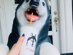 -TrueLove @ Neverland (Husky Cafe)
