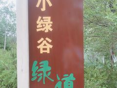 -小绿谷公园