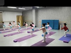 -舞蕾舞蹈(特长生校区)