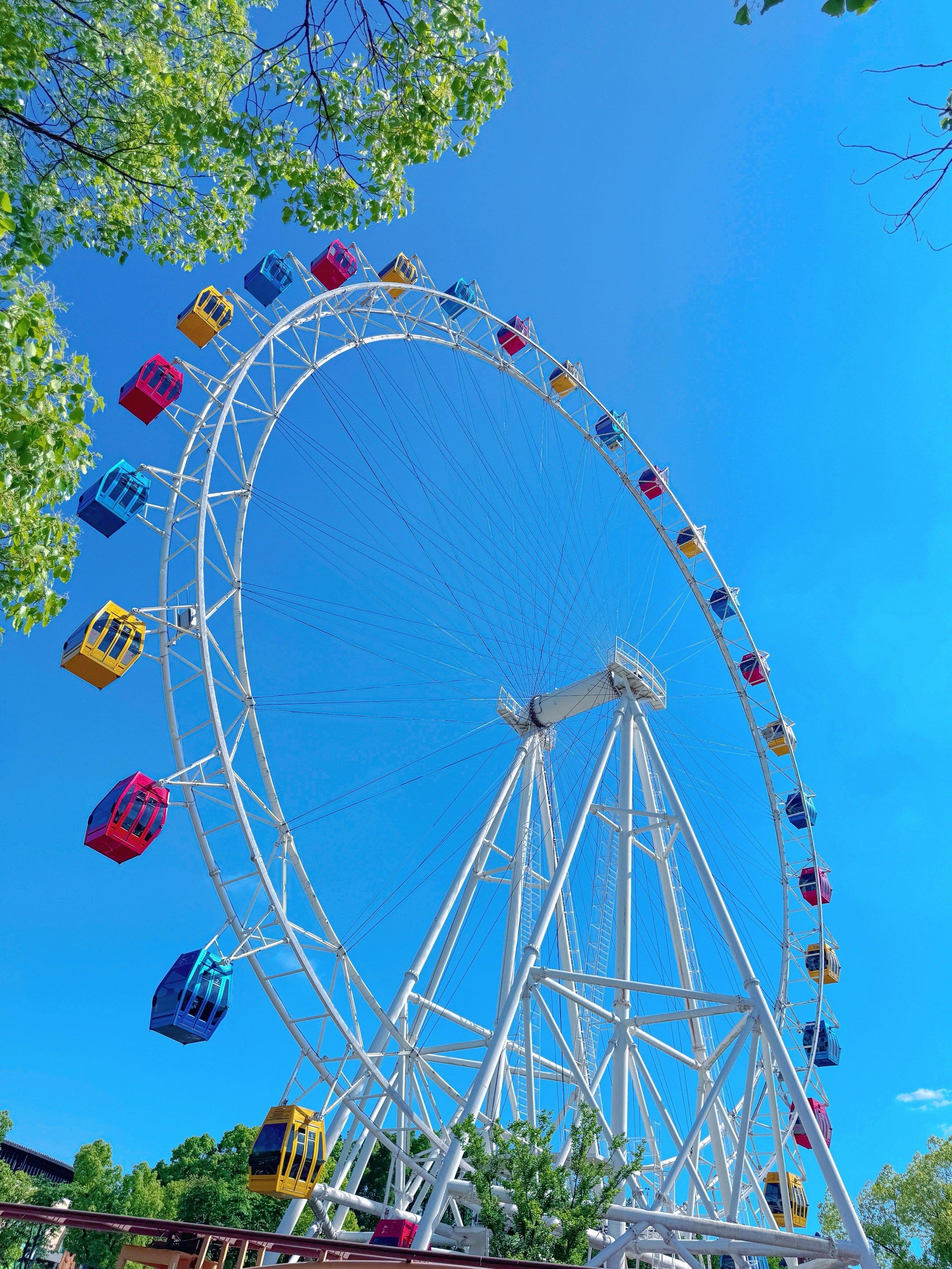 随手拍的摩天轮🎡