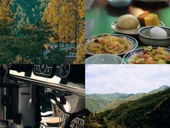 -秦岭风景区