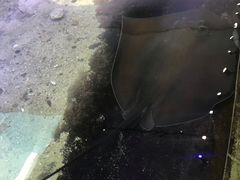 -鸿通城购物中心