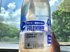 -蔻蔻椰·鲜萃椰子水(COCO Park店)