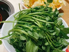 -汕头八合里海记牛肉店(清河店)