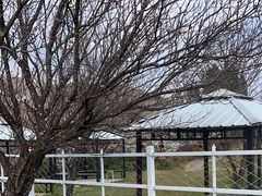 -名花谷生态庄园