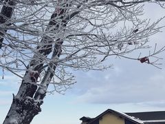 -中旅松花湖滑雪场