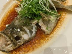 蒸龙趸-国宴饭店(星光联盟店)