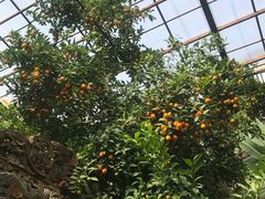 -呀路古热带植物园