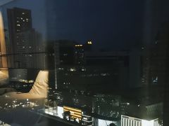 -新加坡乌节希尔顿酒店 (SG Clean)