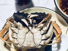 -张鸟园农家乐(张鸟园店)