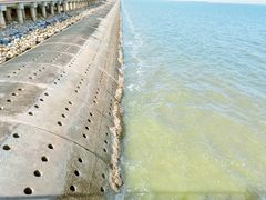 -东疆建设开发纪念公园