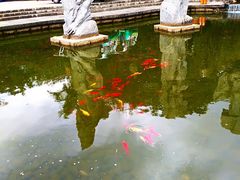 -南诏风情岛