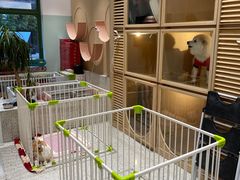 -電力宠物公司(武定路店)