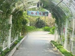 -太阳宫公园