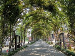 -东方假日田园-停车场