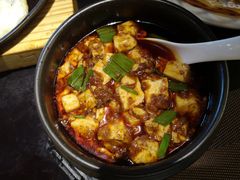 -陈麻婆豆腐总店