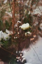 -汇爱婚礼