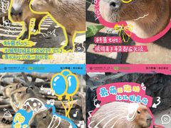 -宁波杉井奥特莱斯广场