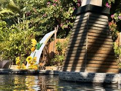 -台山颐和温泉城