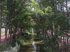 -上海长兴岛郊野公园