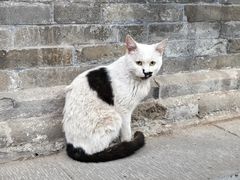 -兴教寺