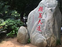 -武汉大学-樱园