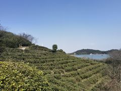 -天目湖涵田半山温泉