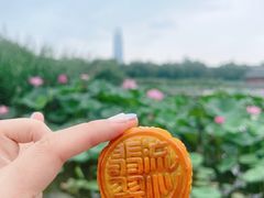 -济南大明湖景区