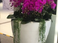 -远洋未来广场(育慧北路店)