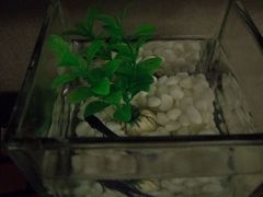 -南京新街口桔子水晶酒店