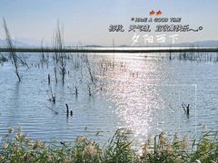 -野鸭湖国家湿地公园