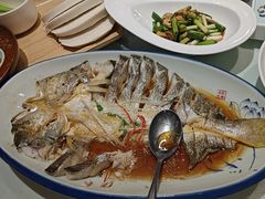 -海派美食·家宴海鲜青岛菜·石锅鲽鱼头(东方城店)