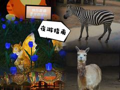 -杭州野生动物世界