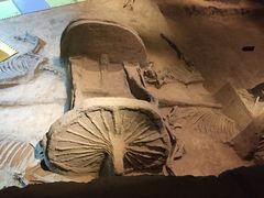 -洛阳周王城天子驾六博物馆