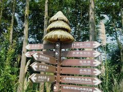 -上海长兴岛郊野公园