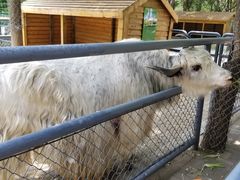 -长白岛森林公园