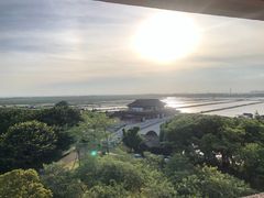 -大湾区中央湿地公园