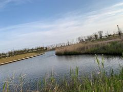 -春花秋色城市公园