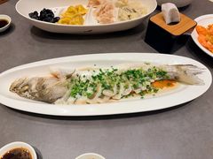 -船歌·鱼水饺青岛菜(金狮广场店)
