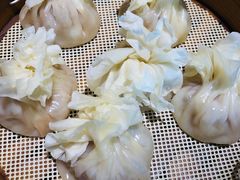 -蒙料·手把肉(望京店)